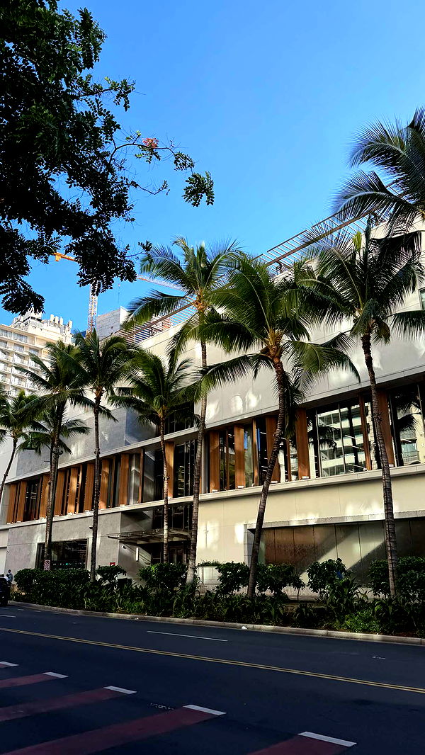 samantrasunny image ~ Altpins