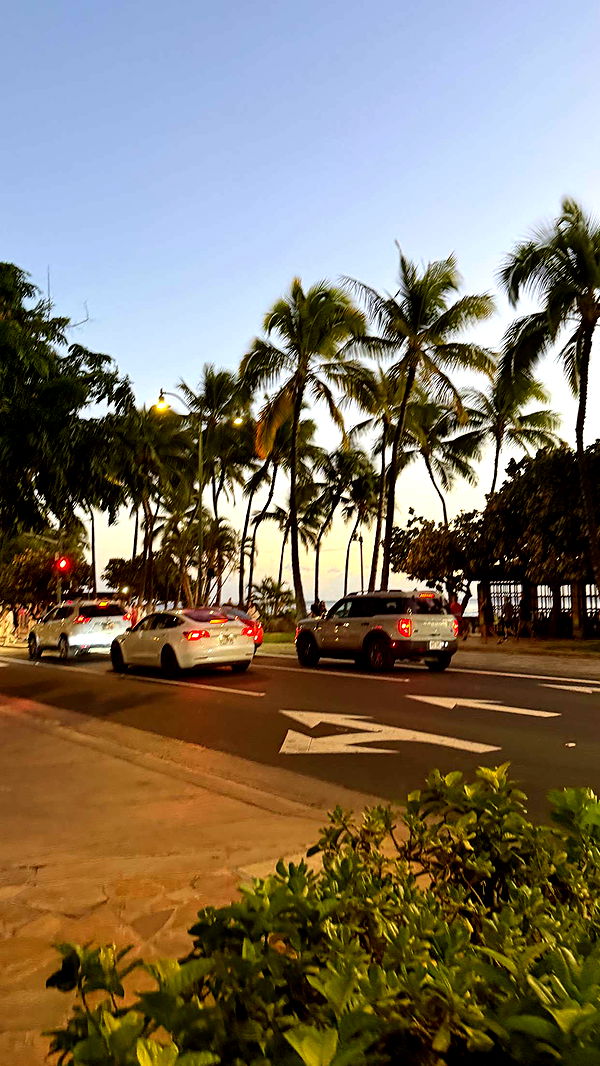 samantrasunny image ~ Altpins