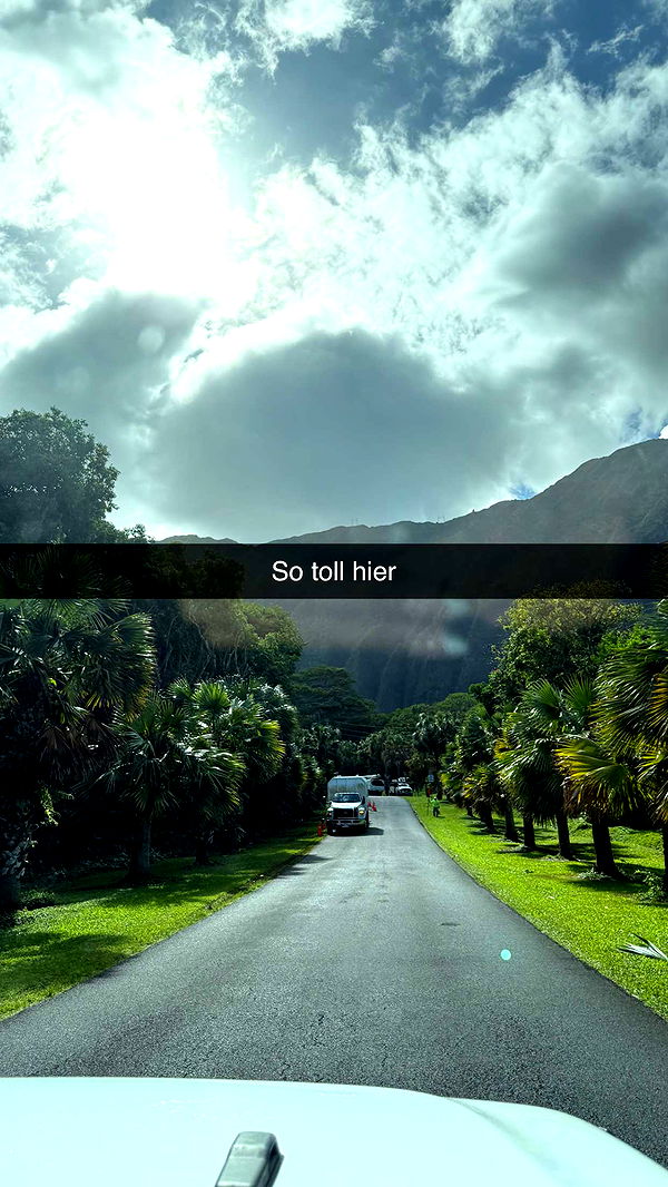 samantrasunny image ~ Altpins