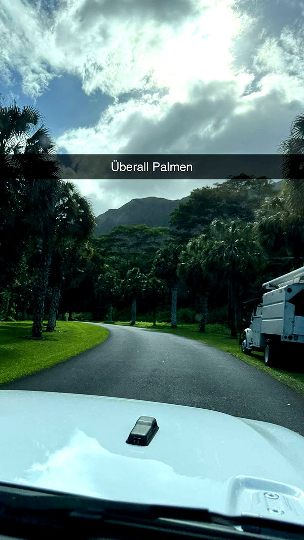 samantrasunny image ~ Altpins