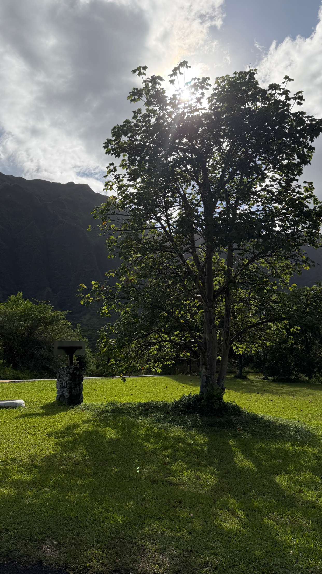 samantrasunny snapchat image archive image