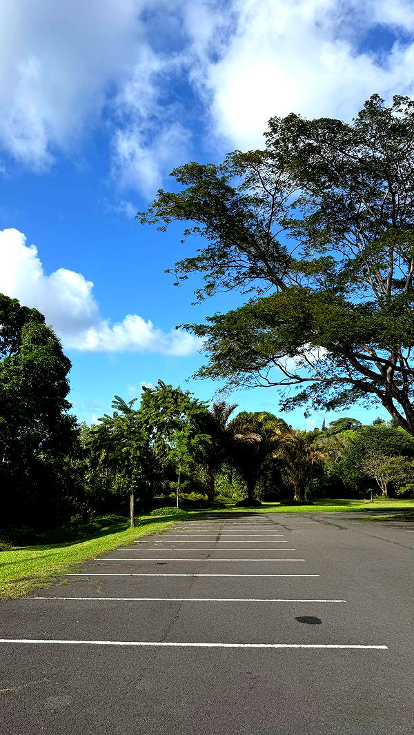 samantrasunny image ~ Altpins