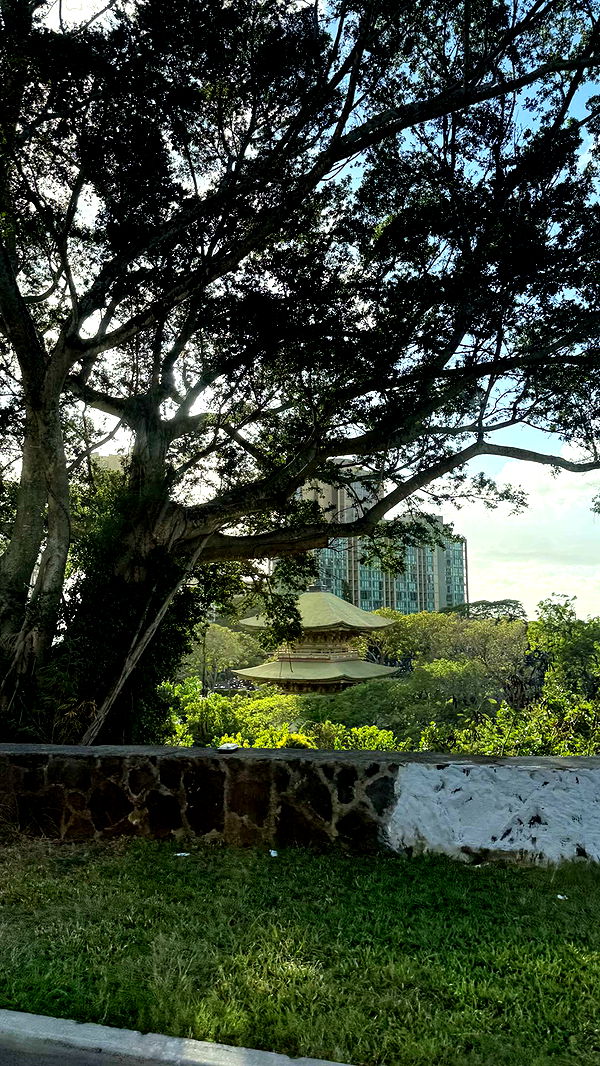 samantrasunny image ~ Altpins