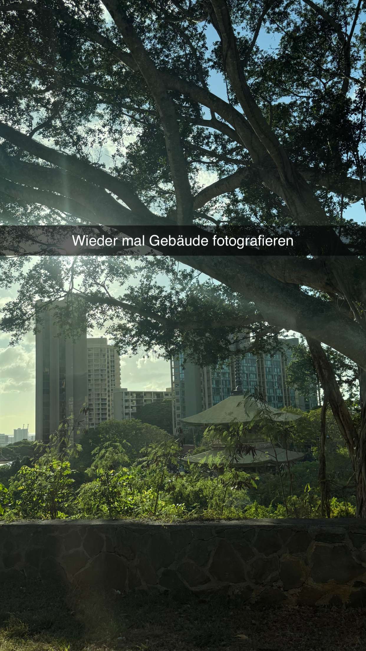 samantrasunny snapchat image archive image