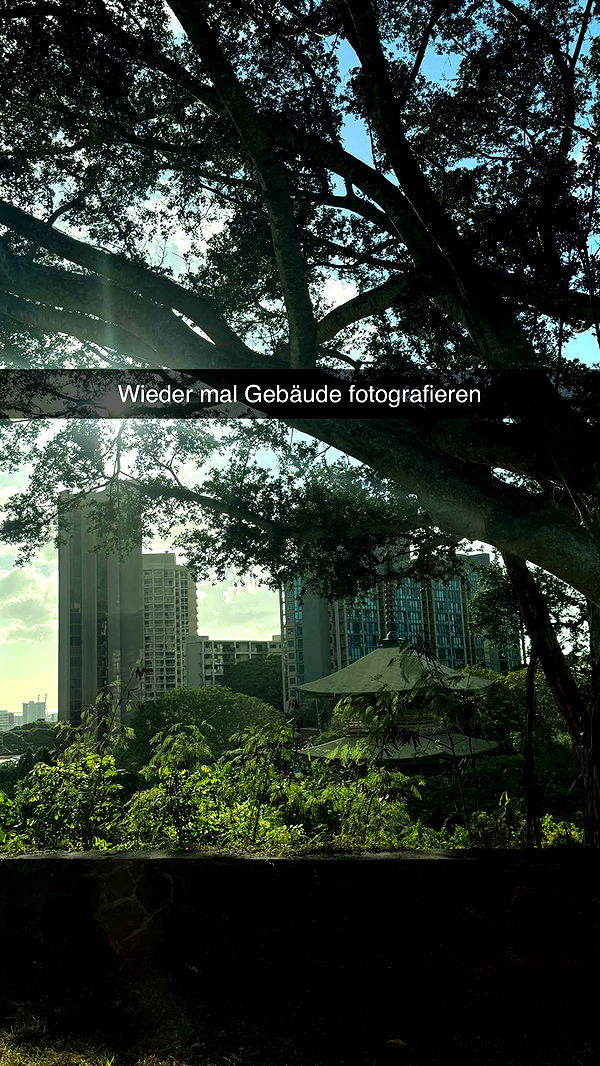 samantrasunny image ~ Altpins