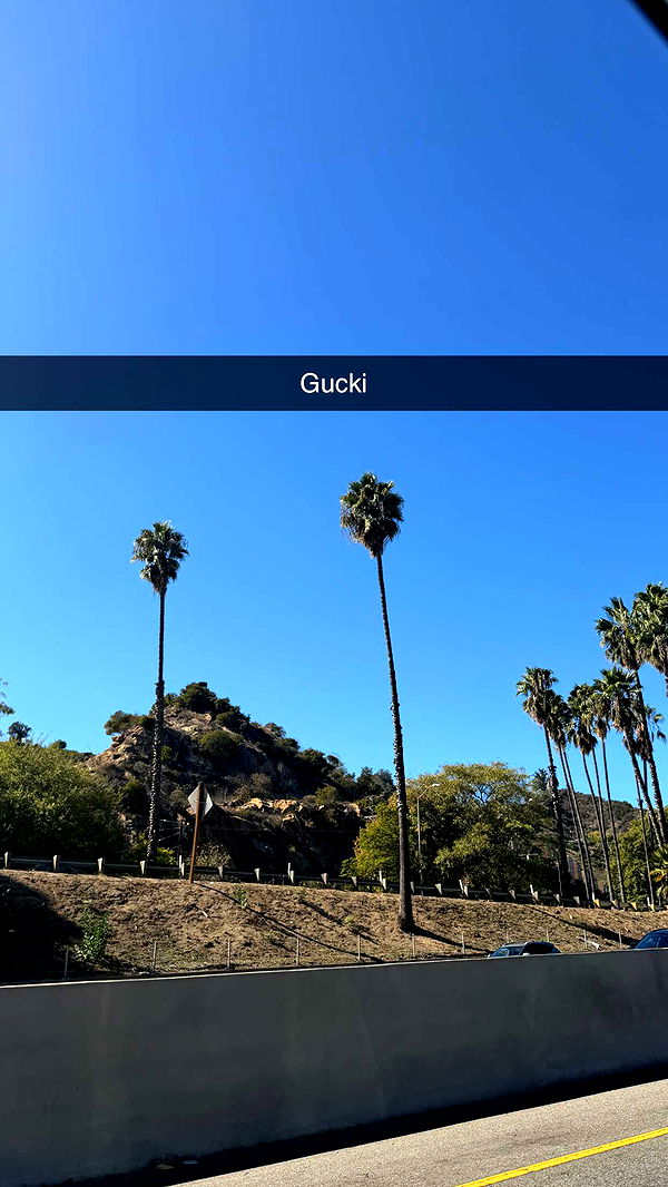 samantrasunny image ~ Altpins