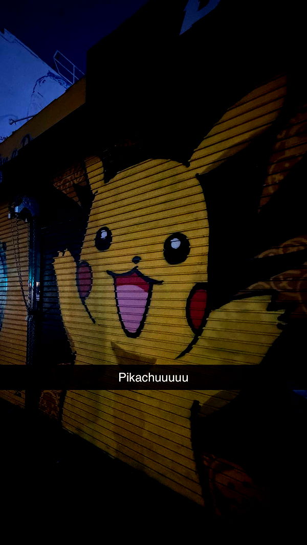 samantrasunny image ~ Altpins