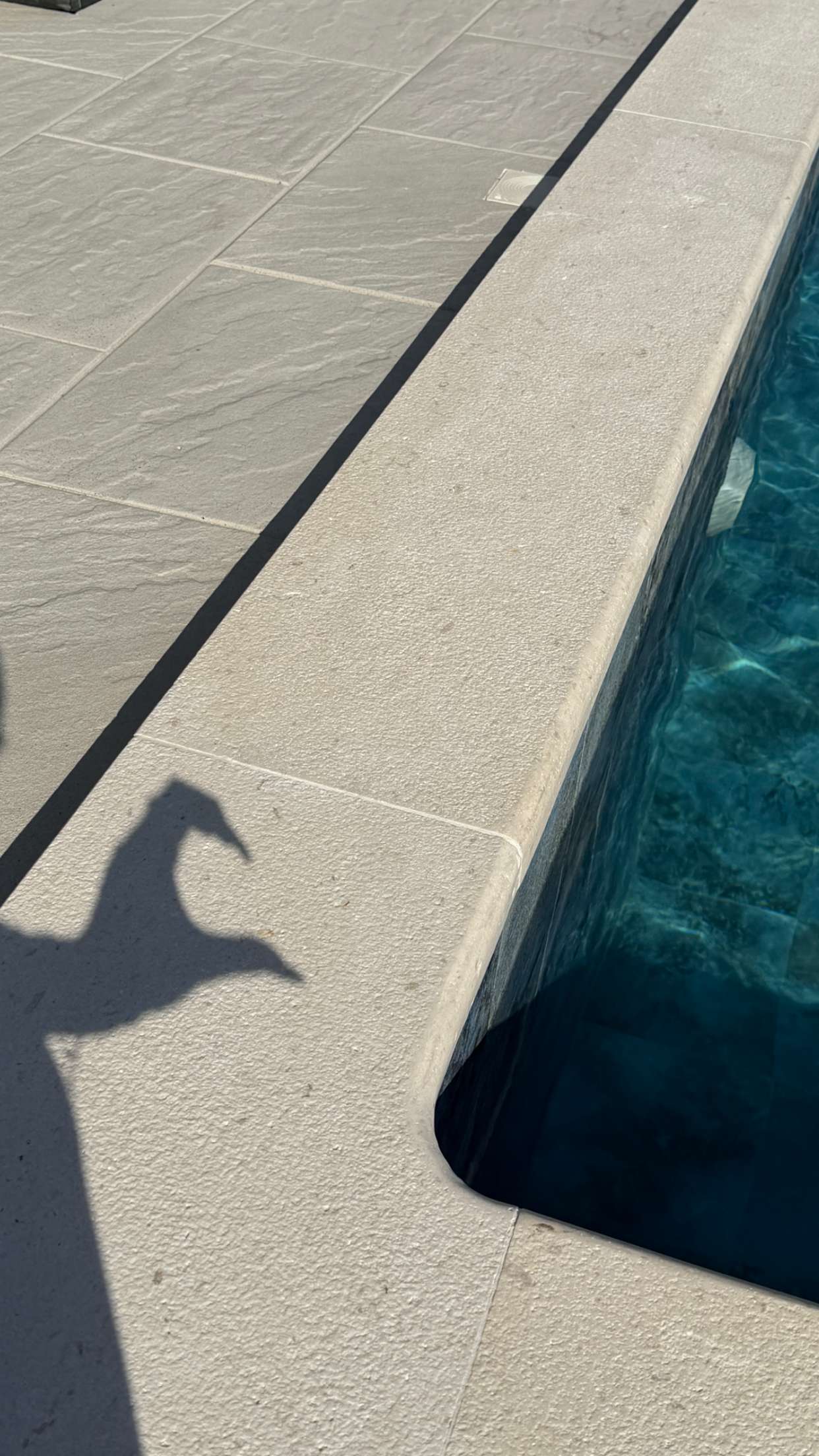 samantrasunny snapchat image archive image