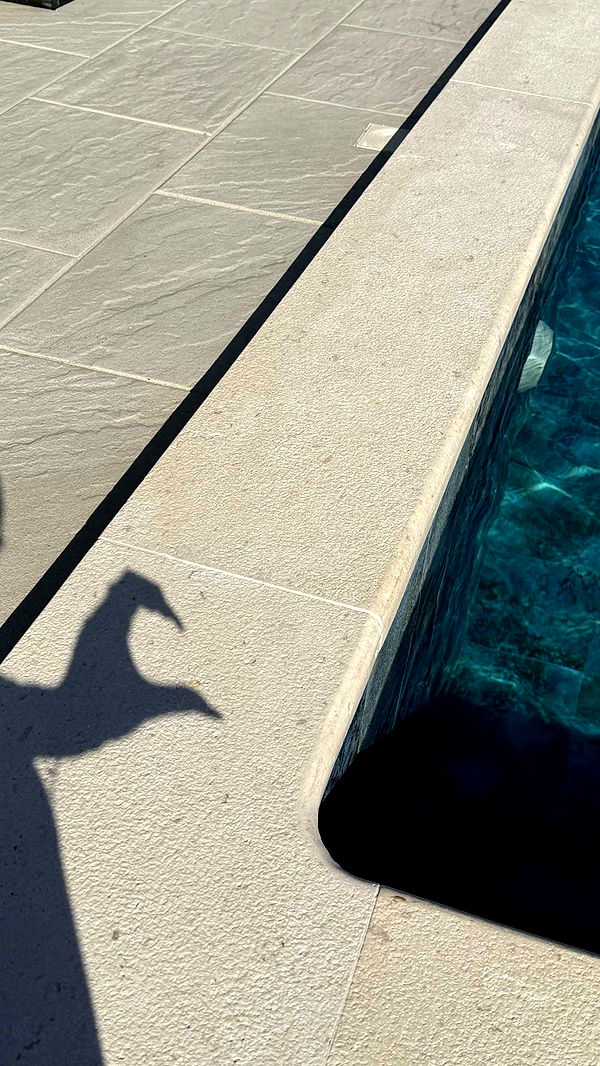 samantrasunny image ~ Altpins