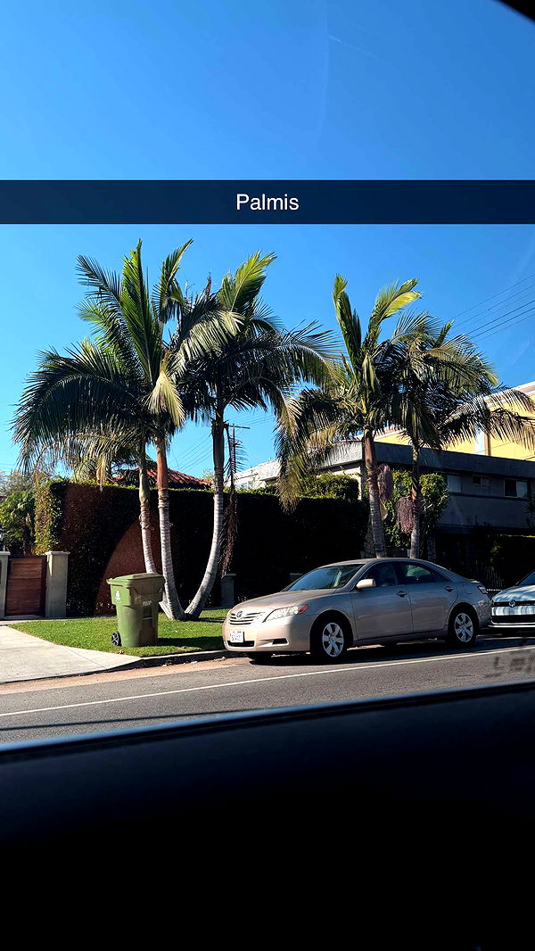 samantrasunny image ~ Altpins