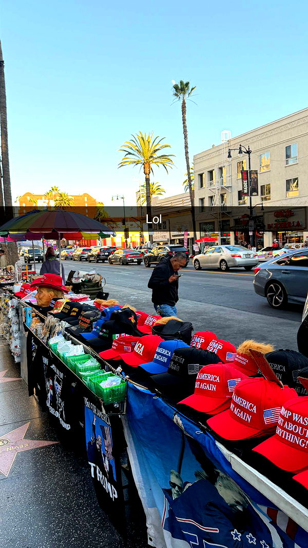 samantrasunny image ~ Altpins