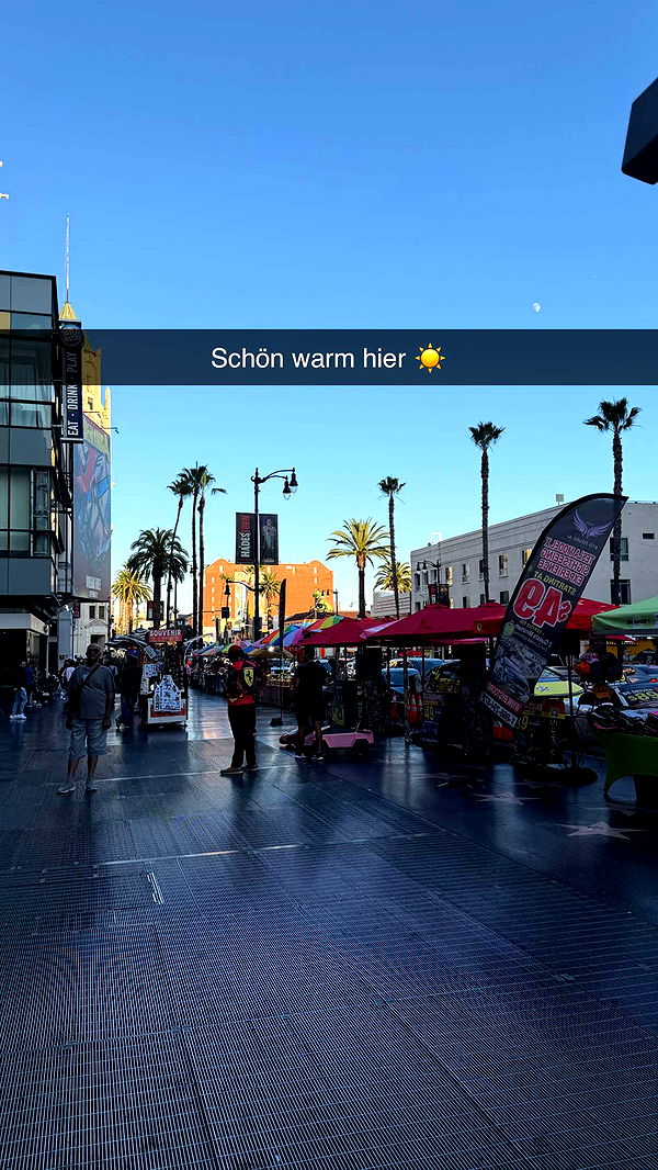 samantrasunny image ~ Altpins