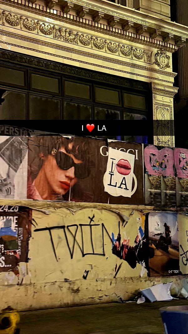 samantrasunny image ~ Altpins