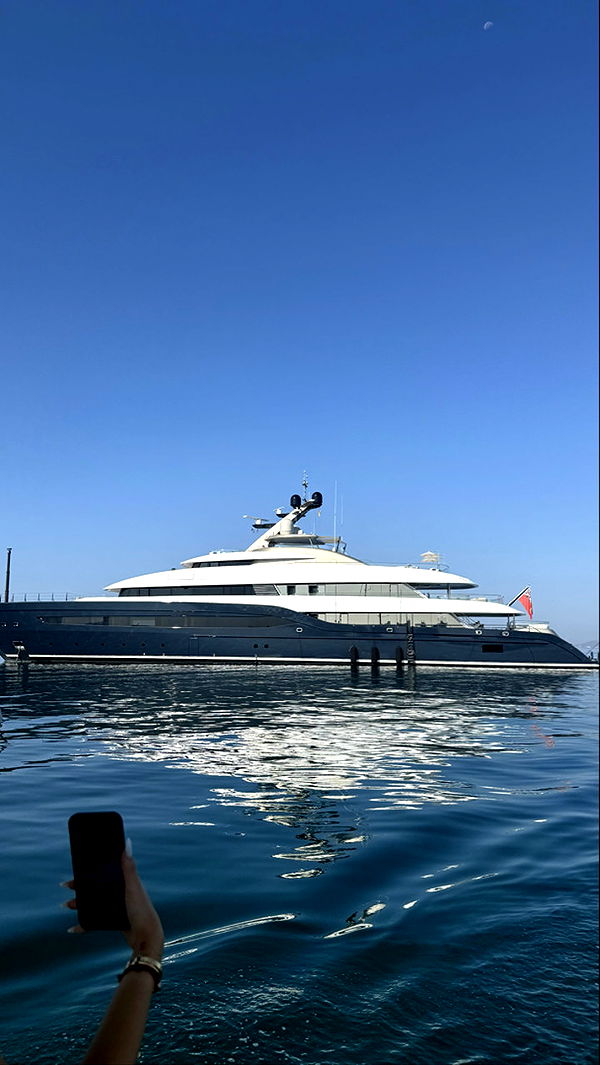 samantrasunny image ~ Altpins