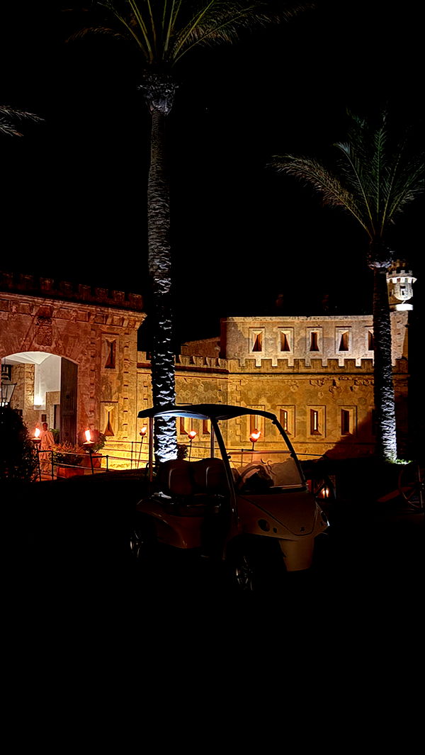 samantrasunny image ~ Altpins