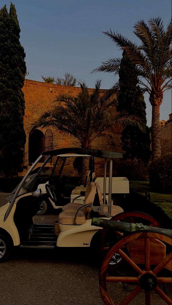 samantrasunny image ~ Altpins