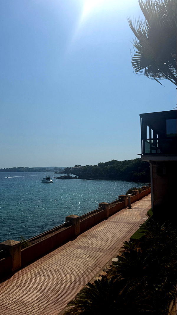 samantrasunny image ~ Altpins