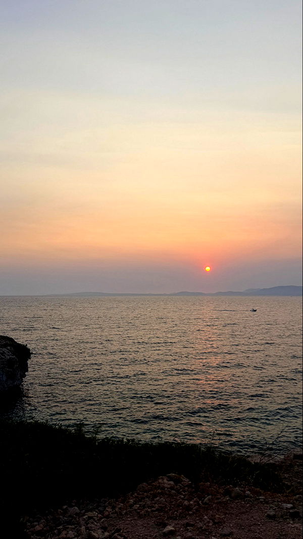 samantrasunny image ~ Altpins