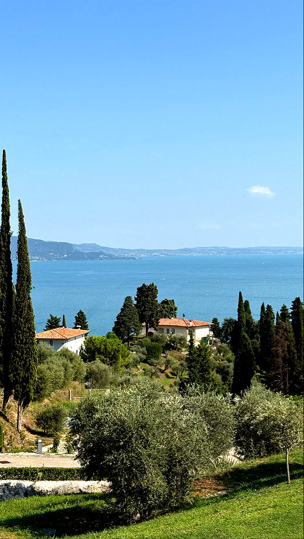 samantrasunny image ~ Altpins