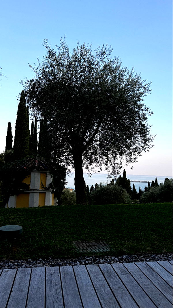 samantrasunny image ~ Altpins