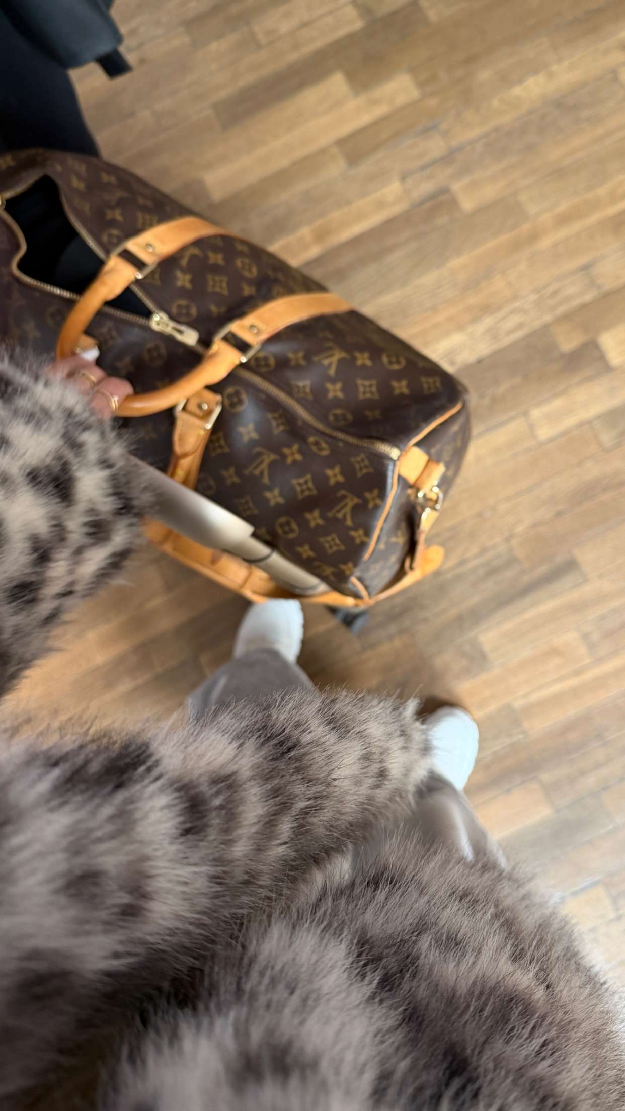 samantrasunny snapchat image archive image