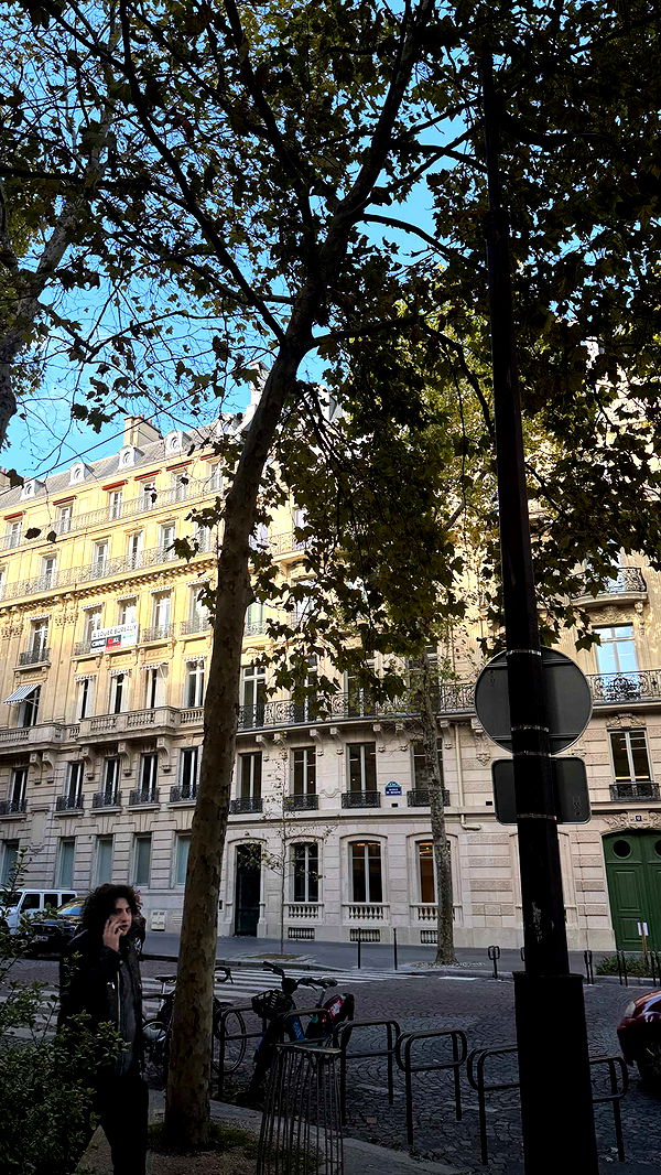 samantrasunny image ~ Altpins