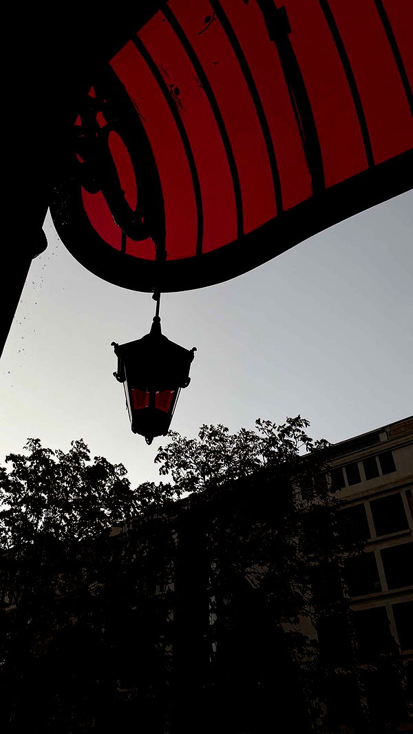 samantrasunny image ~ Altpins