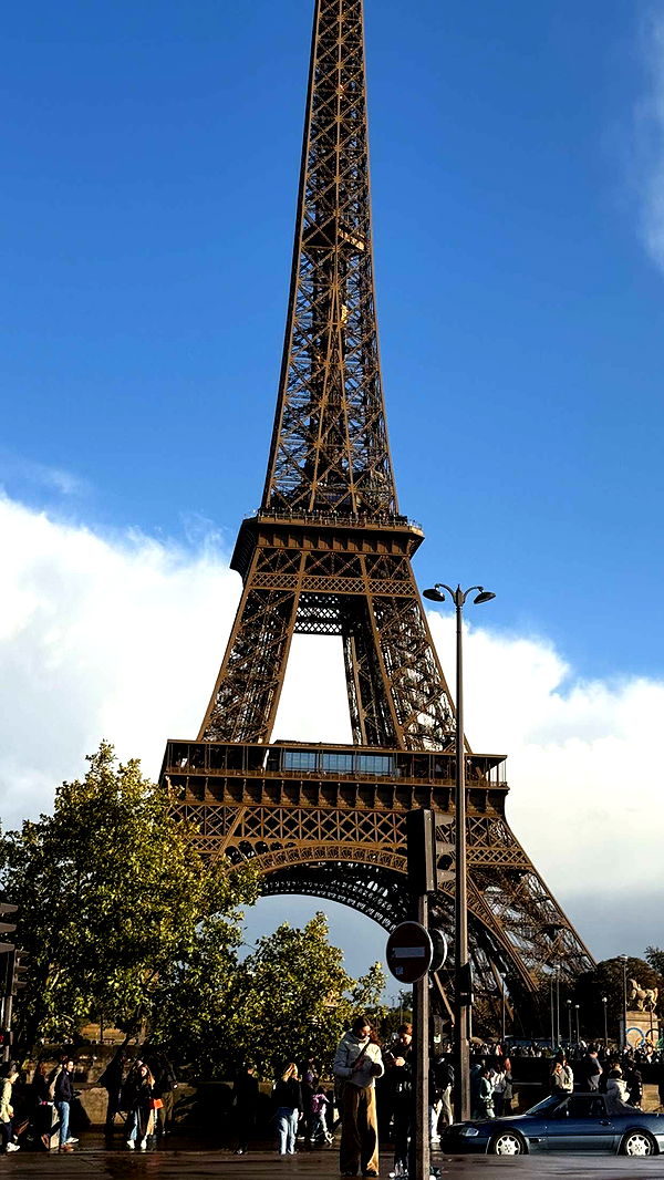 samantrasunny image ~ Altpins