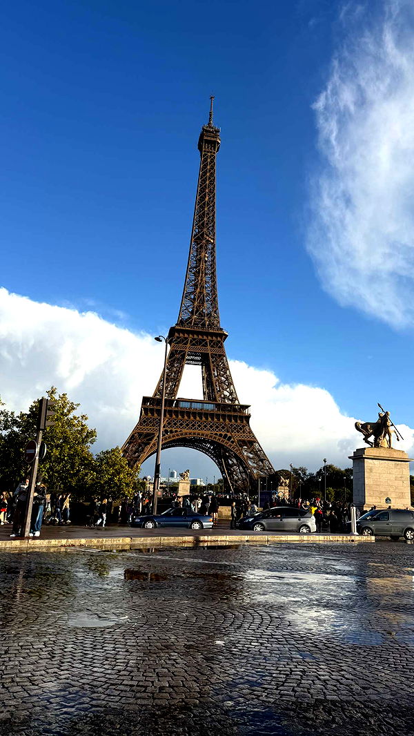 samantrasunny image ~ Altpins