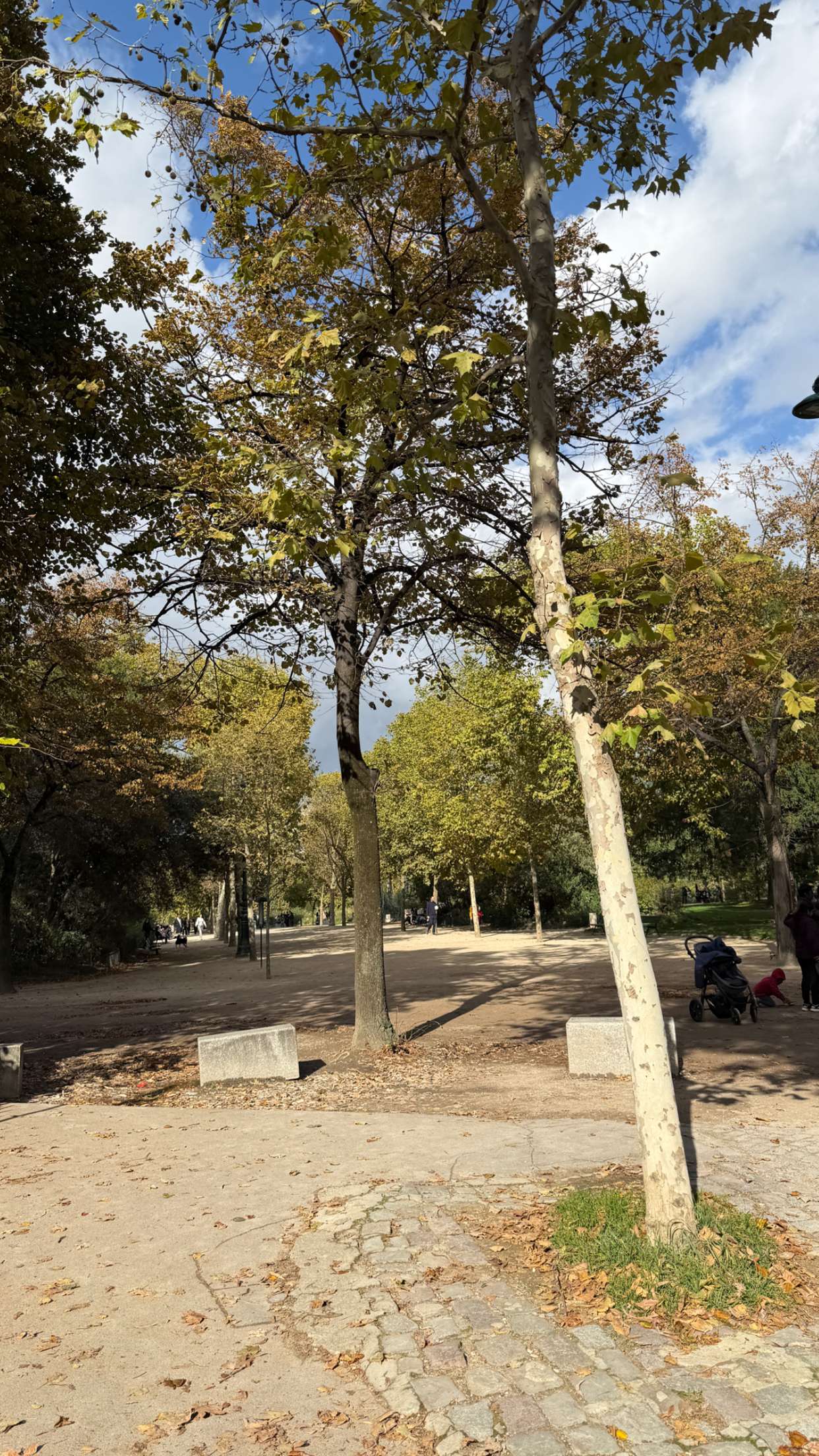 samantrasunny snapchat image archive image