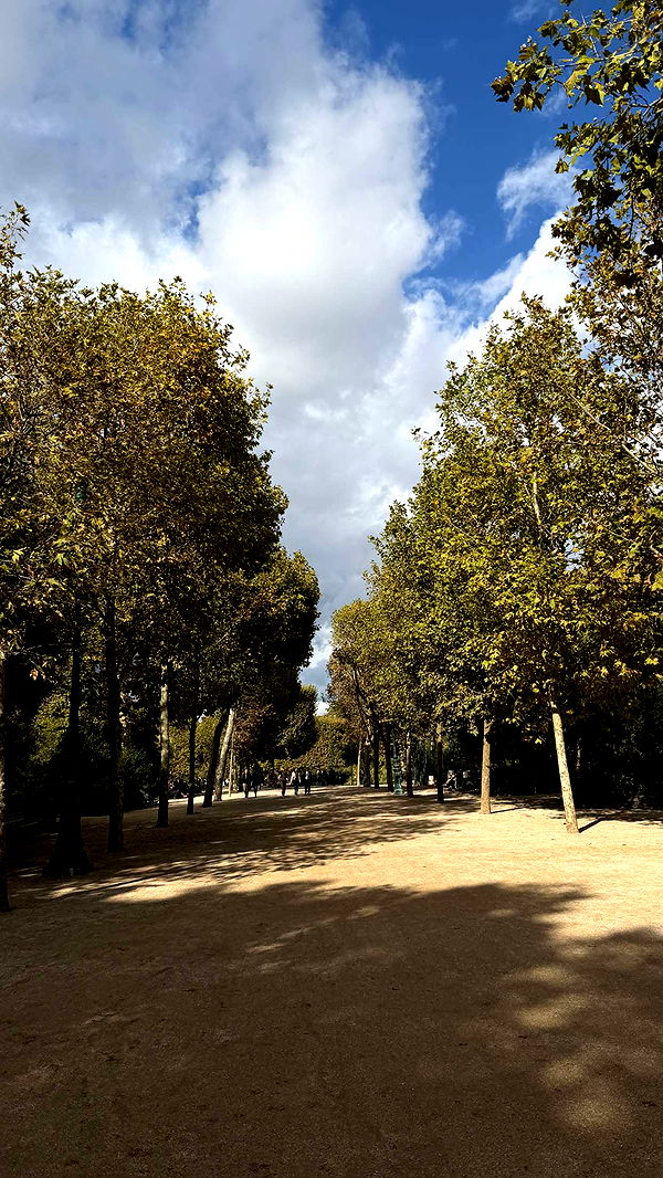 samantrasunny image ~ Altpins