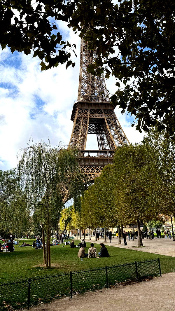 samantrasunny image ~ Altpins