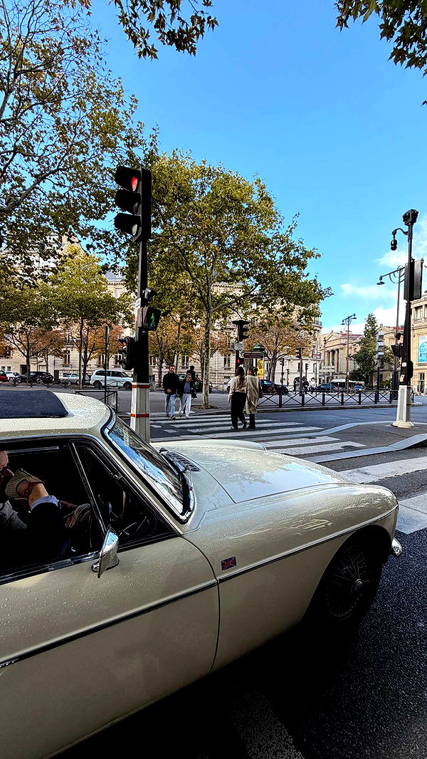 samantrasunny image ~ Altpins