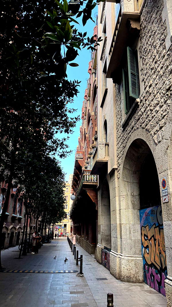 samantrasunny image ~ Altpins