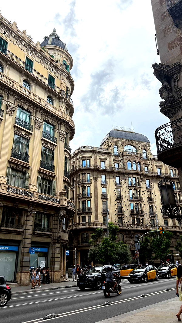 samantrasunny image ~ Altpins