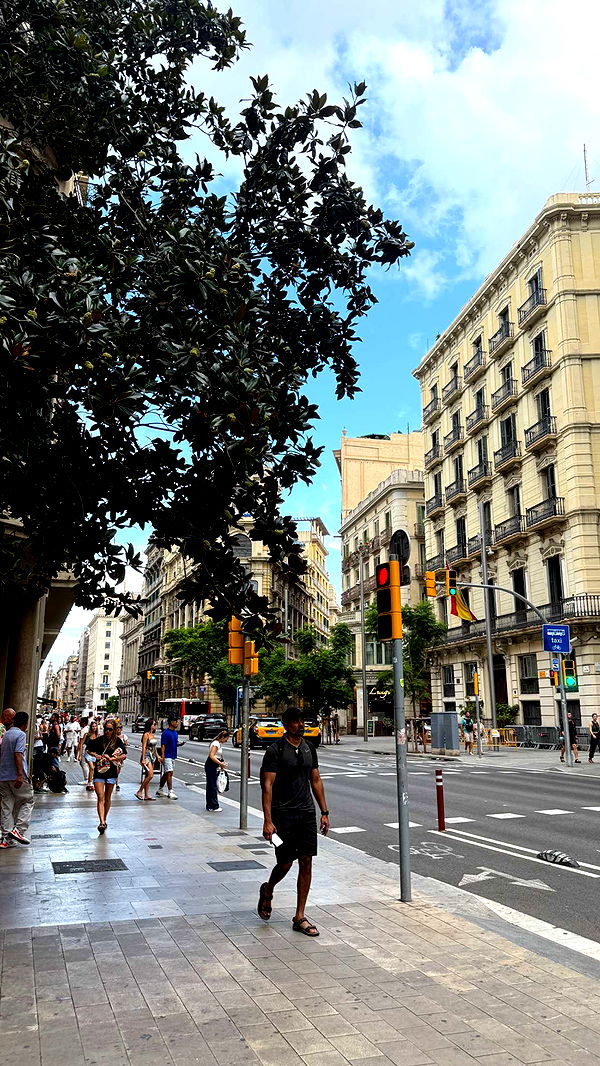 samantrasunny image ~ Altpins