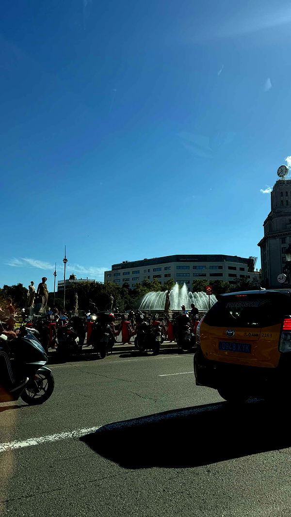 samantrasunny image ~ Altpins