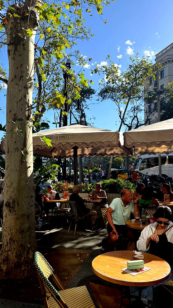 samantrasunny image ~ Altpins