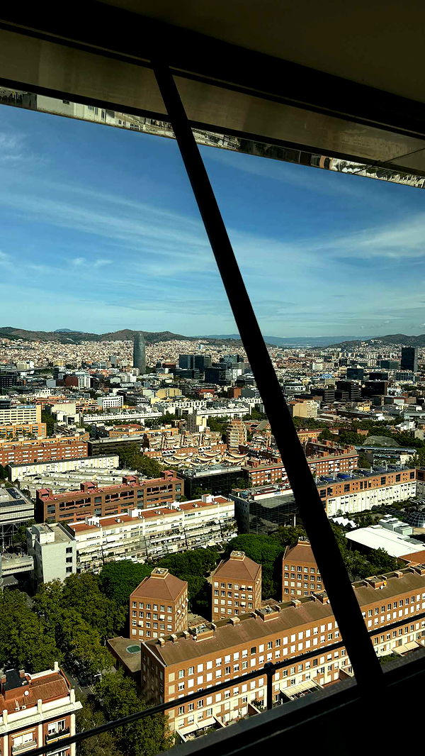 samantrasunny image ~ Altpins