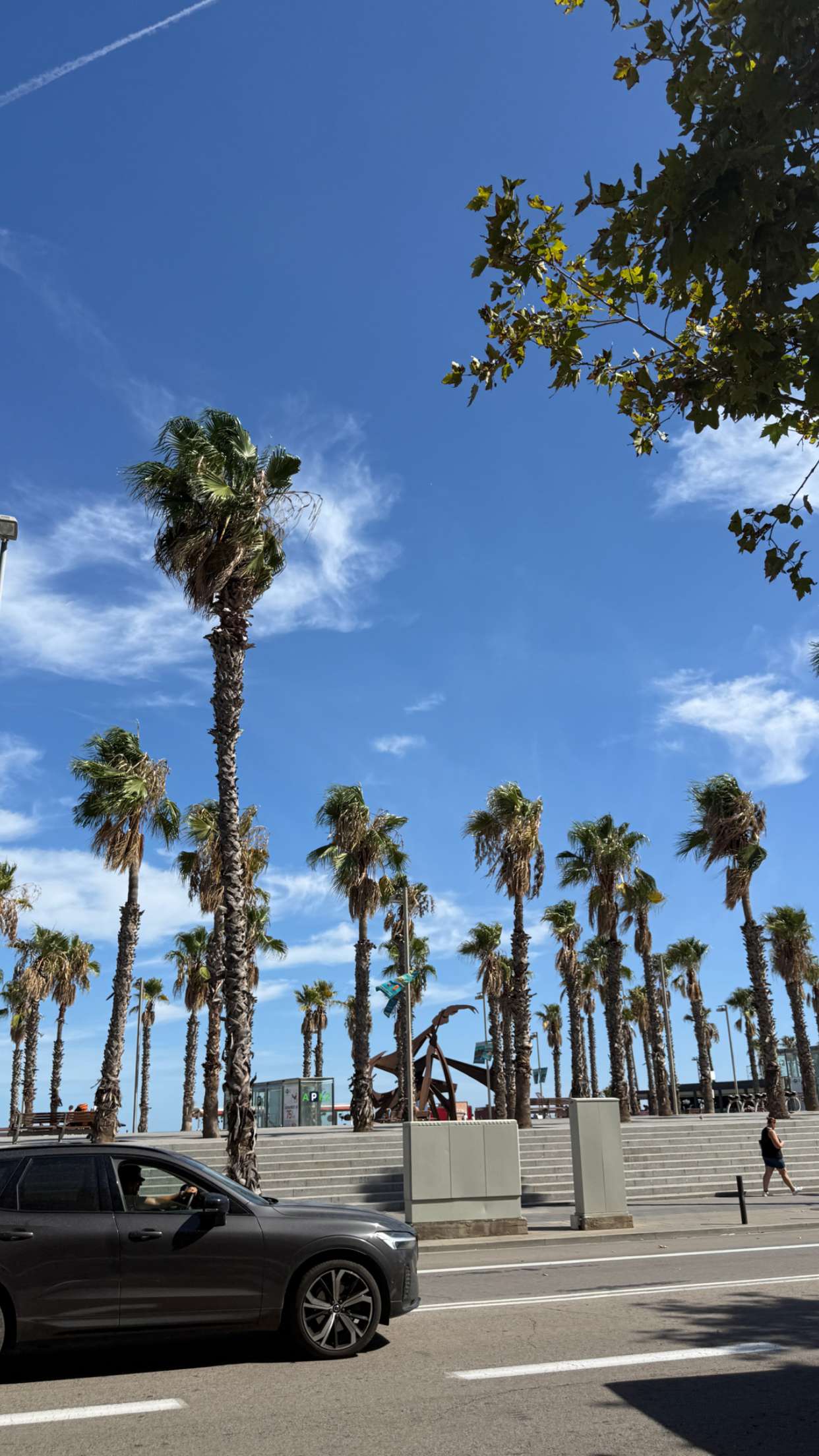 samantrasunny snapchat image archive image