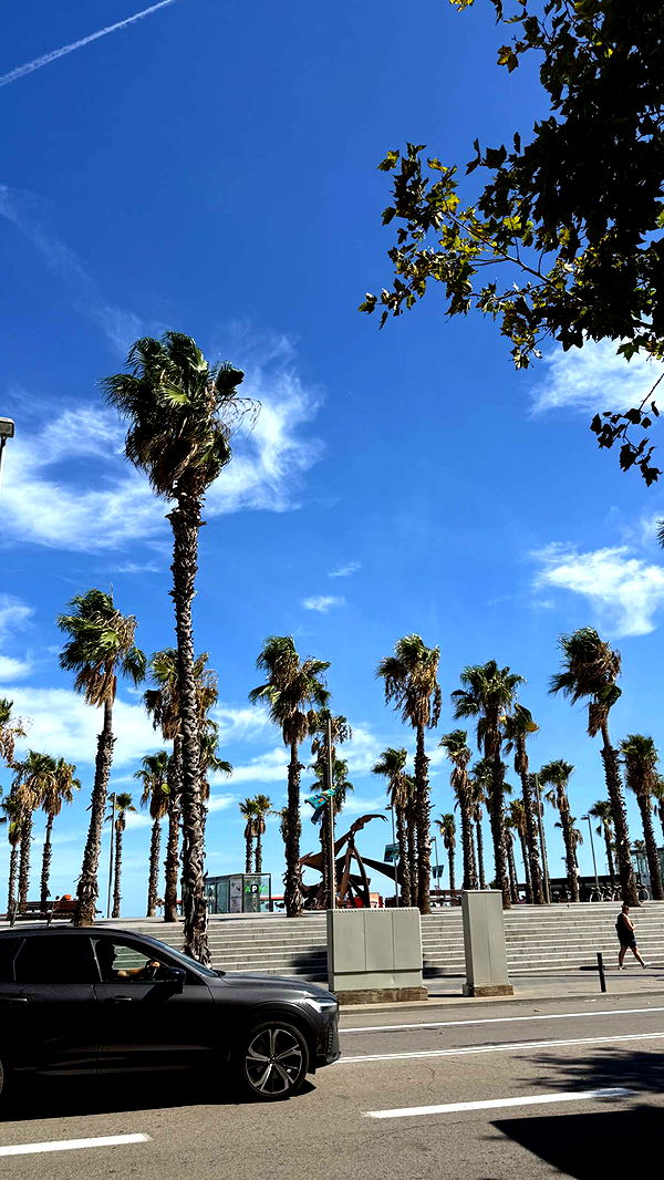 samantrasunny image ~ Altpins