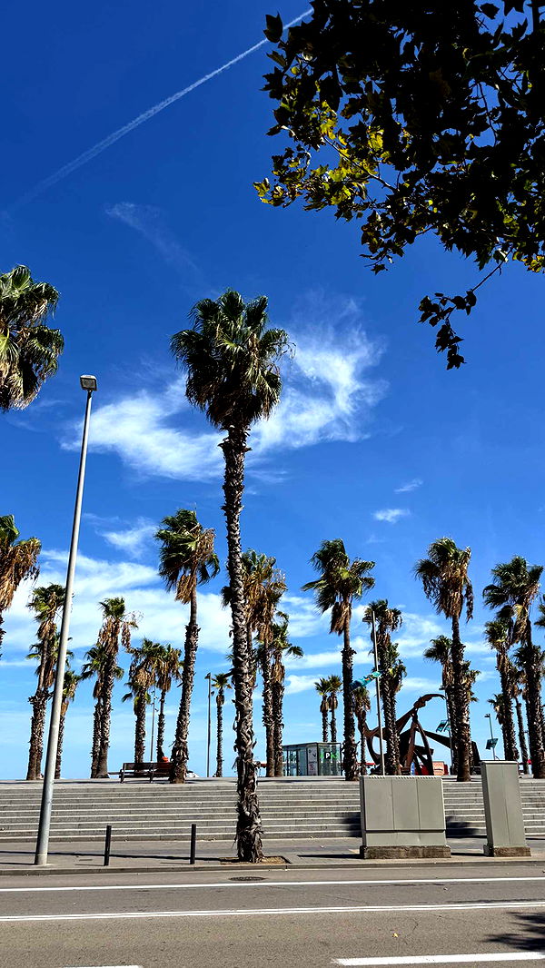 samantrasunny image ~ Altpins