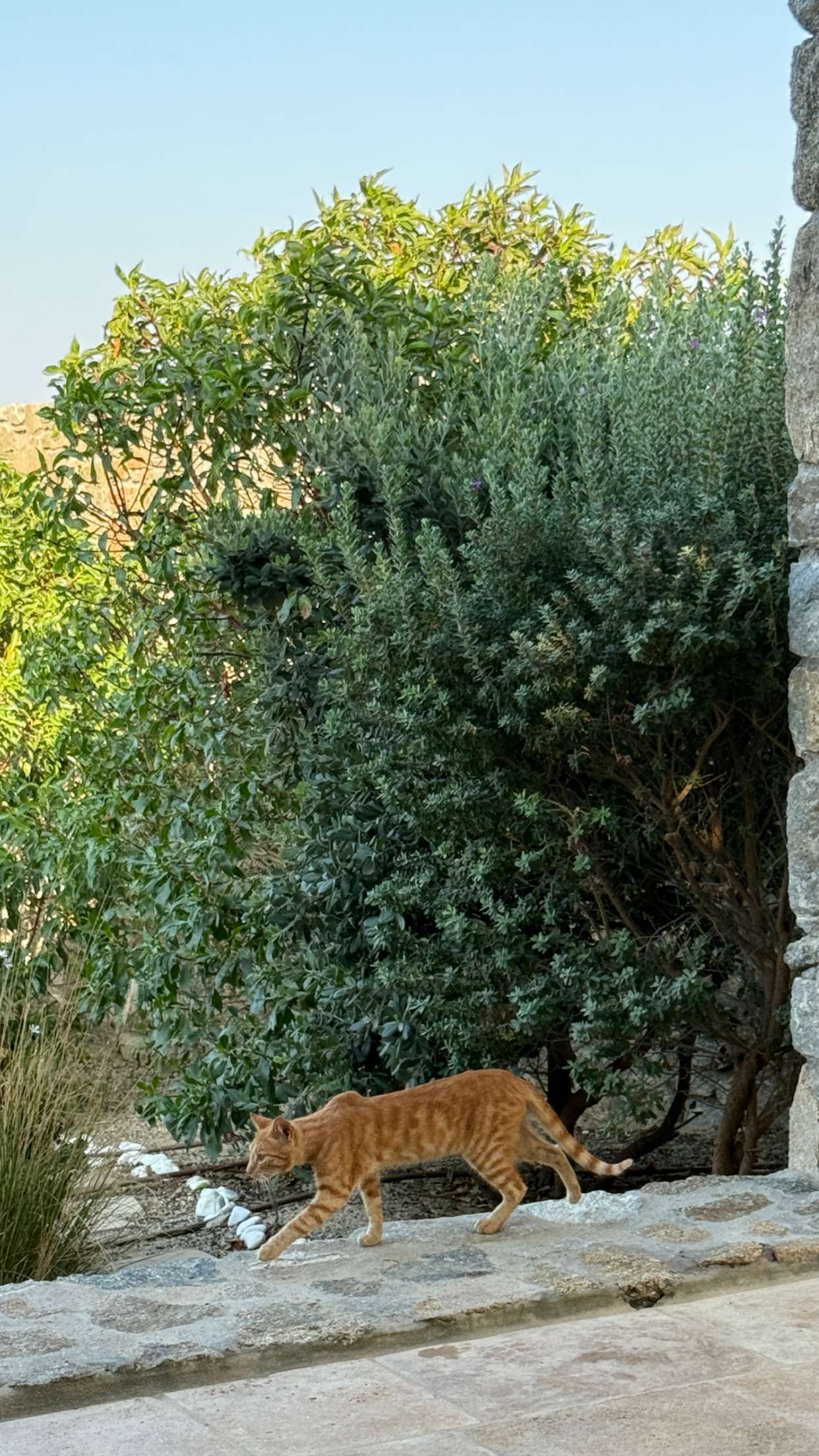 samantrasunny snapchat image archive image