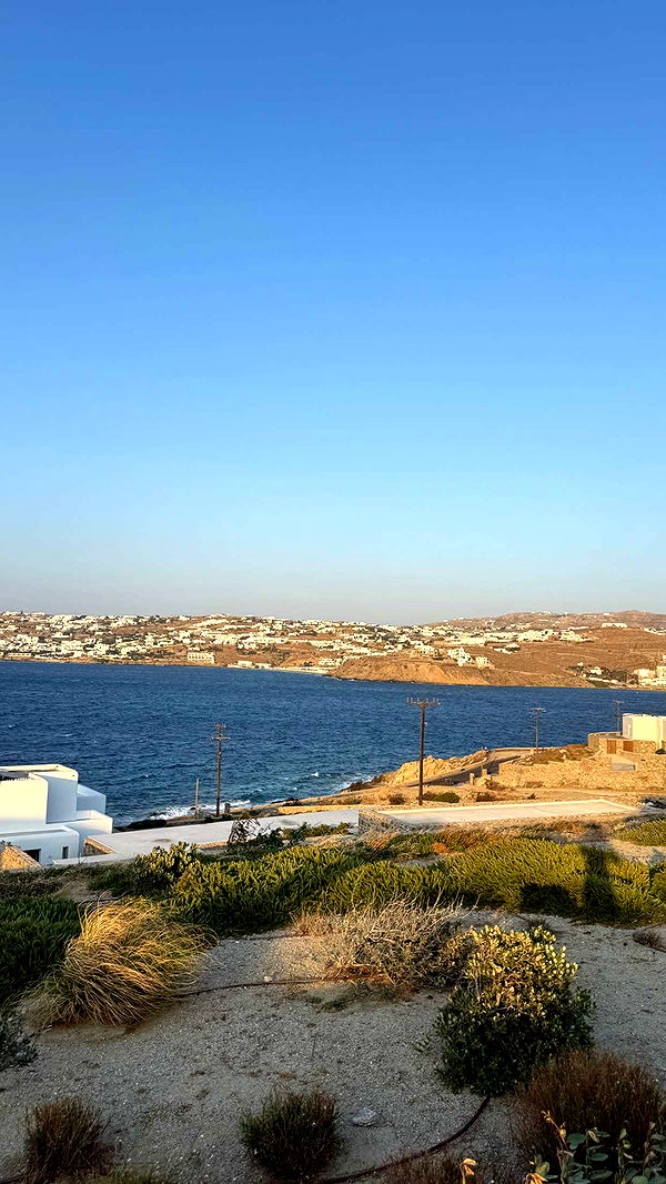 samantrasunny image ~ Altpins