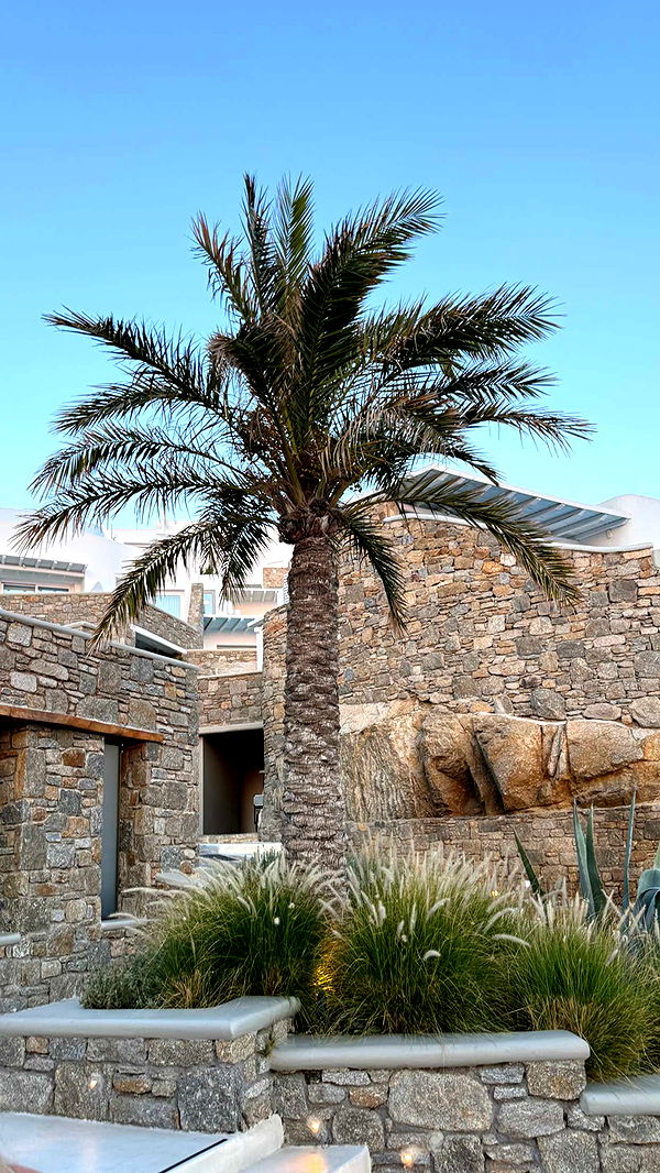 samantrasunny image ~ Altpins