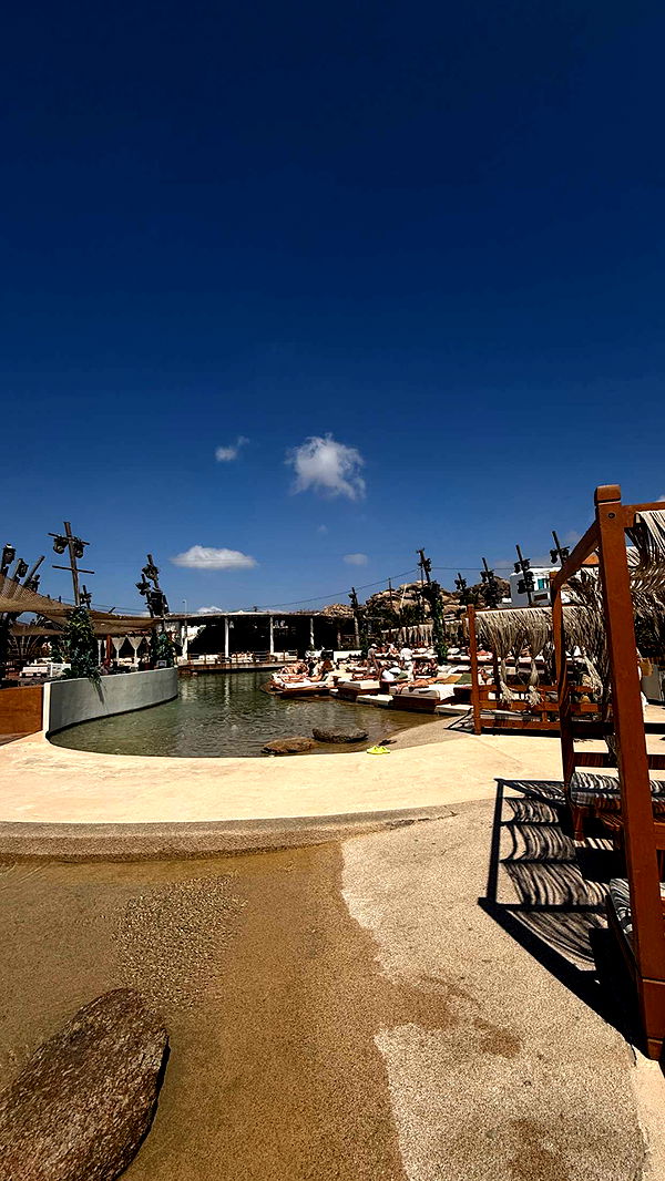 samantrasunny image ~ Altpins