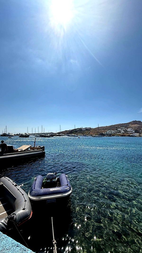 samantrasunny image ~ Altpins