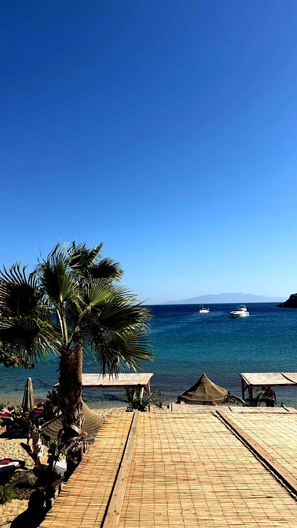 samantrasunny image ~ Altpins