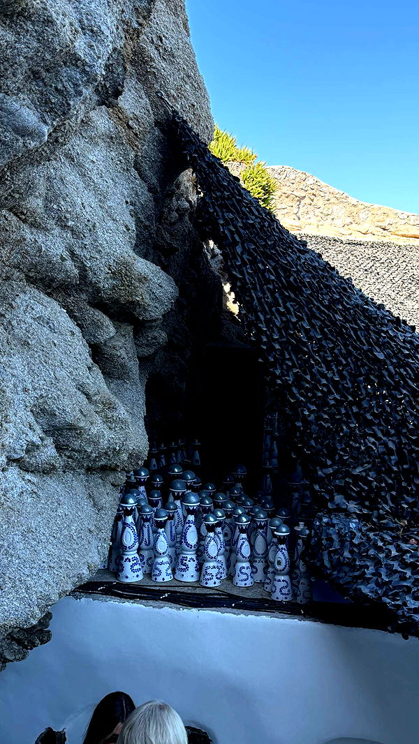 samantrasunny image ~ Altpins