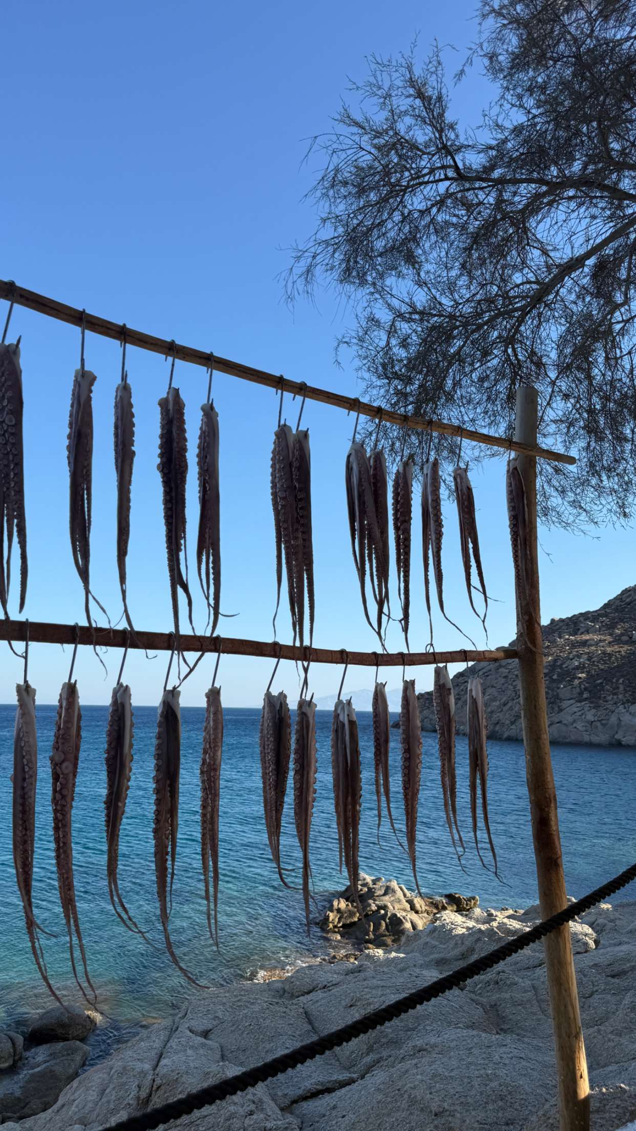 samantrasunny snapchat image archive image